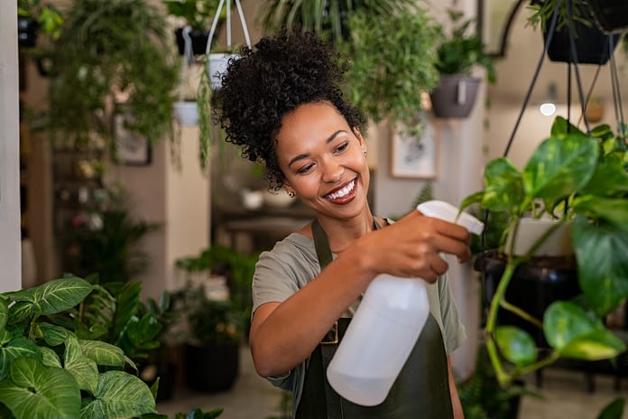 How to Choose Low Water Plants