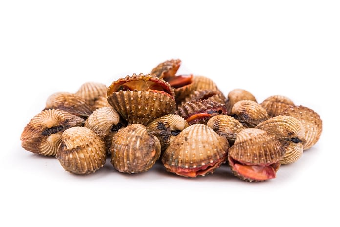 Blood Clam
