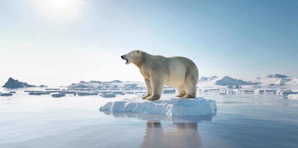 Animals affected by climate change