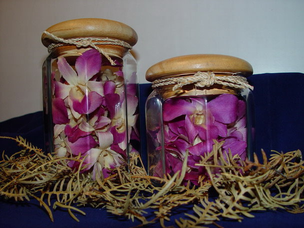 How to Preserve an Orchid Flower
